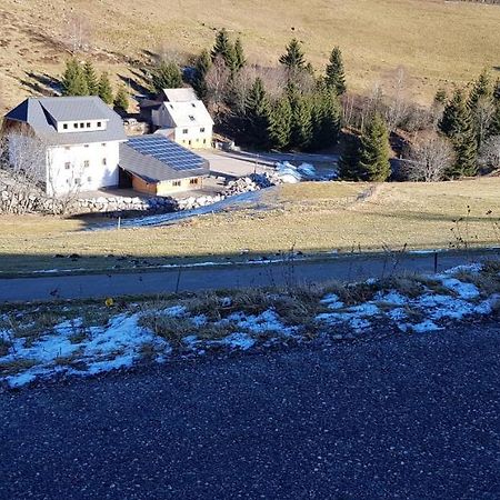 Ferienwohnung Natururlaub Muggenbrunn Todtnau Eksteriør billede