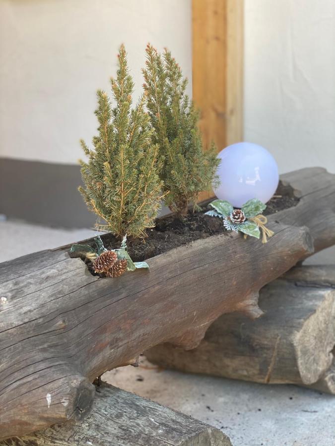 Ferienwohnung Natururlaub Muggenbrunn Todtnau Eksteriør billede