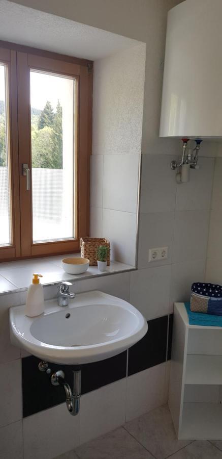 Ferienwohnung Natururlaub Muggenbrunn Todtnau Eksteriør billede