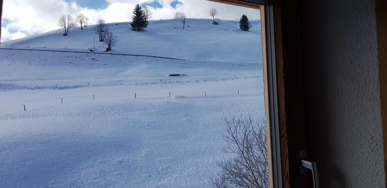 Ferienwohnung Natururlaub Muggenbrunn Todtnau Eksteriør billede